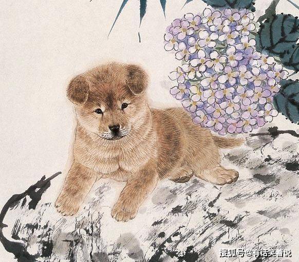 揭秘管家肖的生肖屬性，探尋背后的奧秘，揭秘管家肖生肖屬性背后的奧秘
