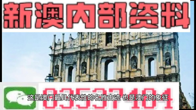 新澳門正版免費資料的查找方法與解析，澳門正版免費資料查找方法與解析指南