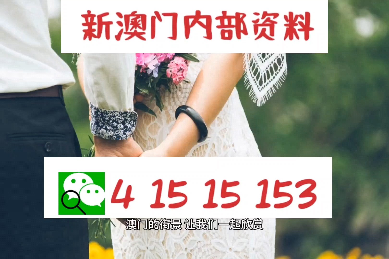 澳門資料大全與正版資料查詢，一站式獲取澳門信息的指南，澳門信息大全，正版資料查詢與一站式獲取指南