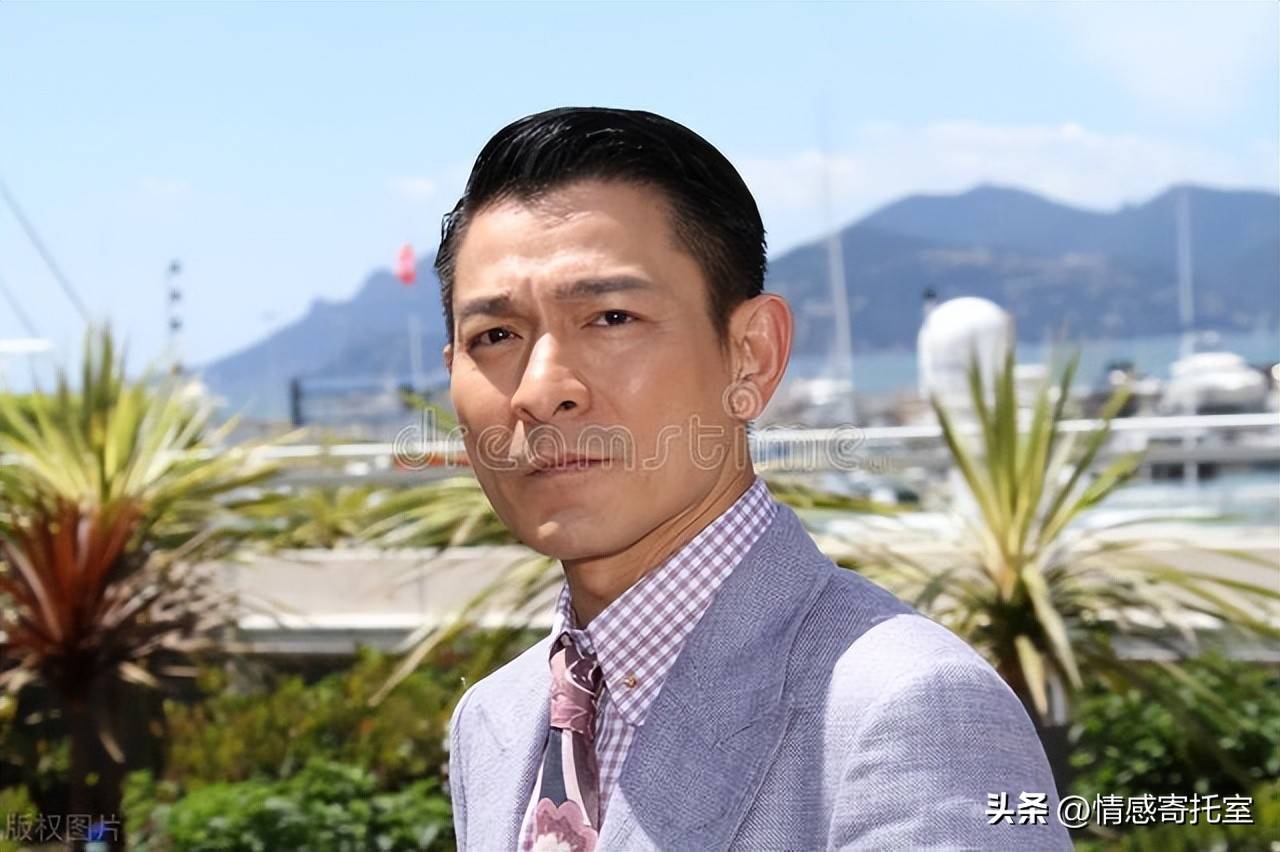 香港一肖王中王資料大全——深度解析與探索，香港一肖王中王資料大全，深度探索與解析