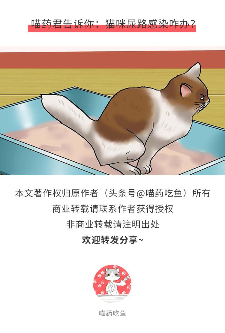 女性尿路感染藥物治療指南，了解癥狀，選擇正確的藥物，女性尿路感染藥物治療全攻略，癥狀解析與藥物選擇指南
