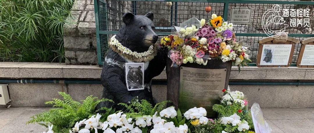 追夢少年