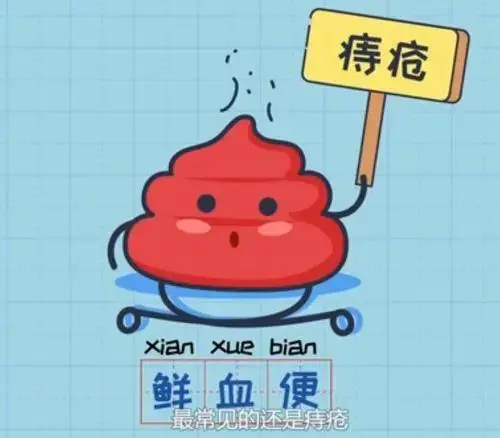 肛門(mén)肉球會(huì)自己消失嗎？深入了解與應(yīng)對(duì)方法，肛門(mén)肉球，自我消失的真相與應(yīng)對(duì)策略