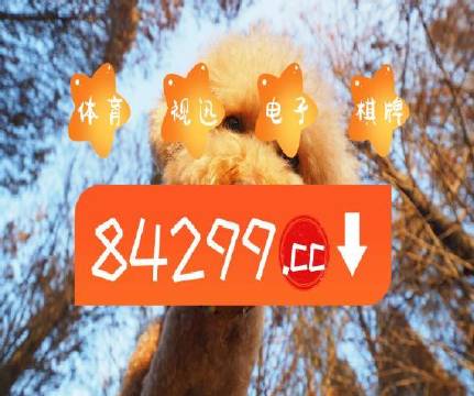 澳門天天免費精準大全——探索澳門免費資源的秘密，澳門免費資源深度解析，探索精準大全的秘密