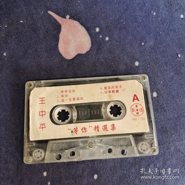 王中王中平特一肖，探尋背后的故事與SEO奧秘，王中王中平特一肖，背后的故事與SEO揭秘