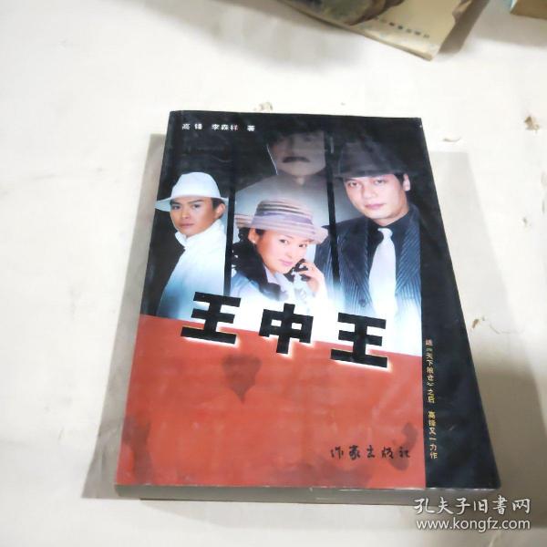 王中王資料一肖中特小說，深度解析與探索，王中王資料一肖中特小說的深度解析與探索之旅