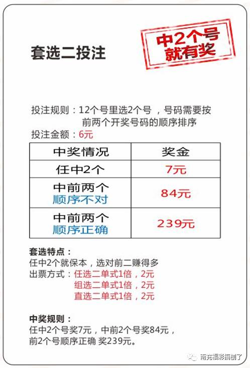 關(guān)于彩票中的兩肖賠多少的探討，彩票兩肖賠多少的深度解析