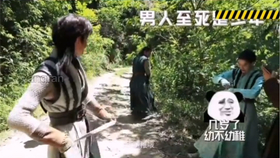 天涯被實錘的料，深度解析與探討，天涯實錘事件深度解析與探討