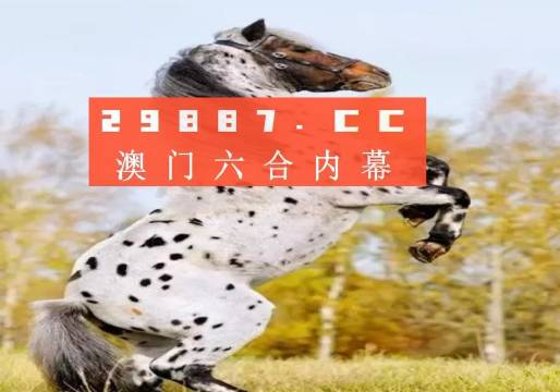 白小姐精準(zhǔn)免費四肖四碼，揭秘背后的秘密與真相探索，揭秘白小姐精準(zhǔn)免費四肖四碼，真相探索與秘密揭秘