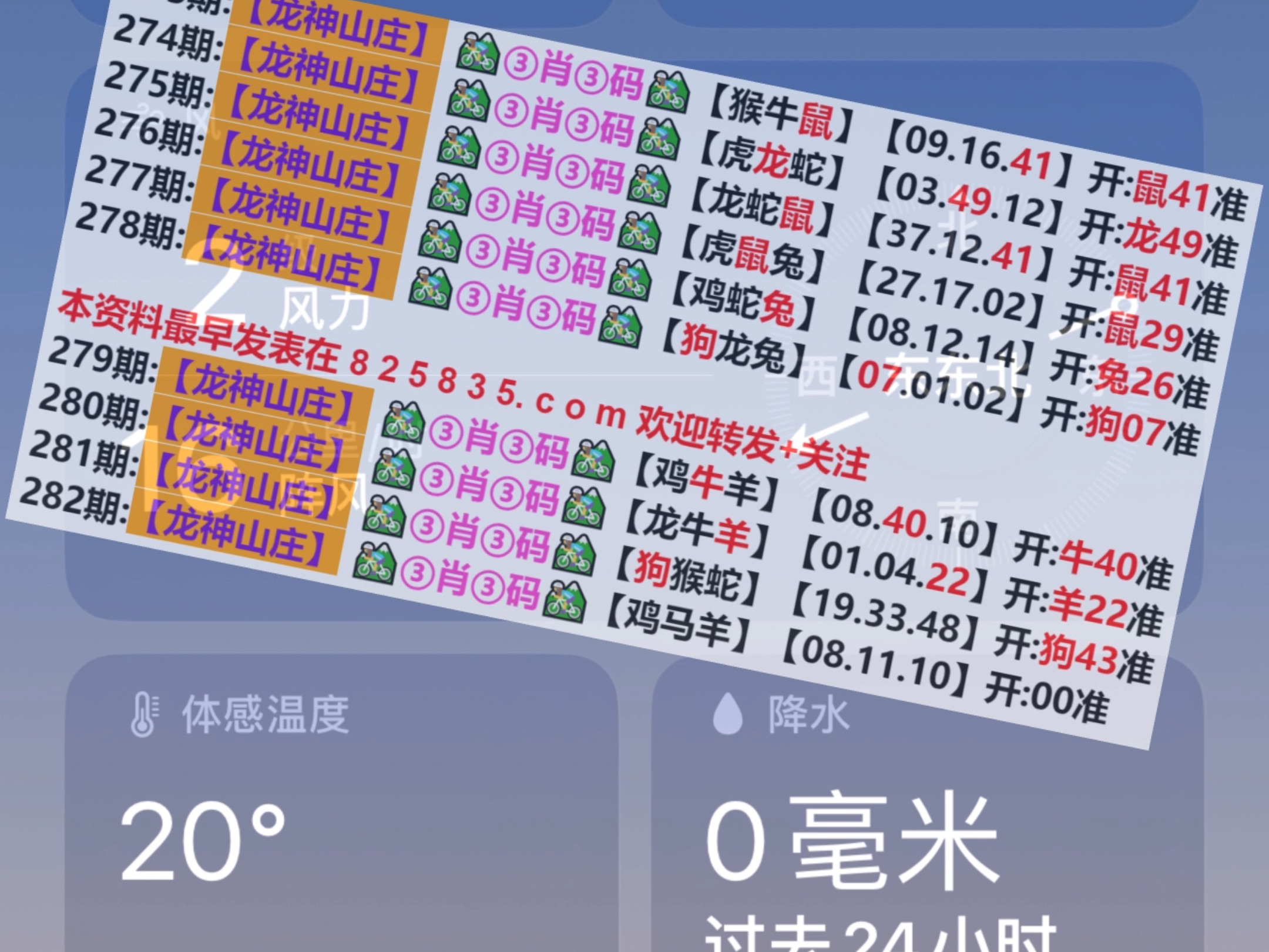 澳門82期最快天天開獎，揭秘彩票背后的秘密與策略，澳門彩票揭秘，天天開獎背后的秘密與策略探究