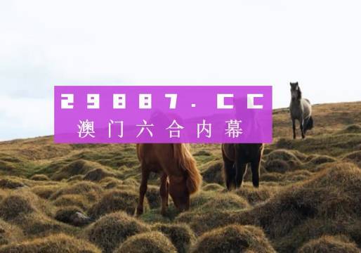 澳門今晚開獎什么，探索彩票背后的秘密與策略，澳門彩票開獎探索，秘密與策略揭秘