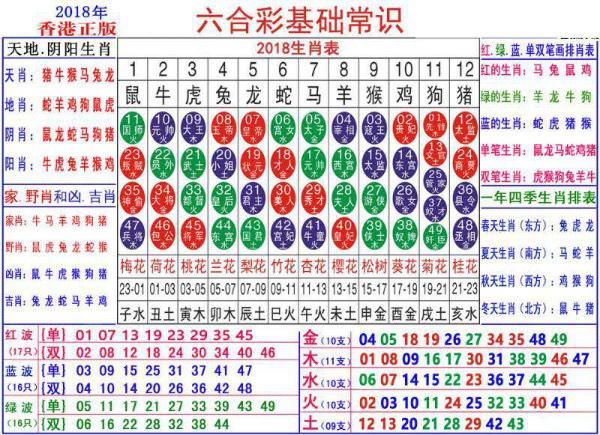 探索未來(lái)的奧秘，2025新澳門(mén)生肖卡，揭秘未來(lái)奧秘，2025新澳門(mén)生肖卡探秘