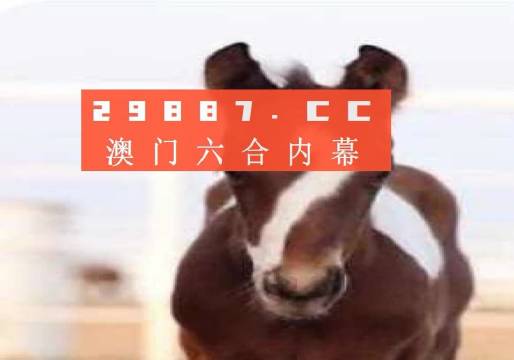 澳門(mén)一肖一碼一待一中資料，深度解析與探索，澳門(mén)一肖一碼深度解析與探索揭秘資料