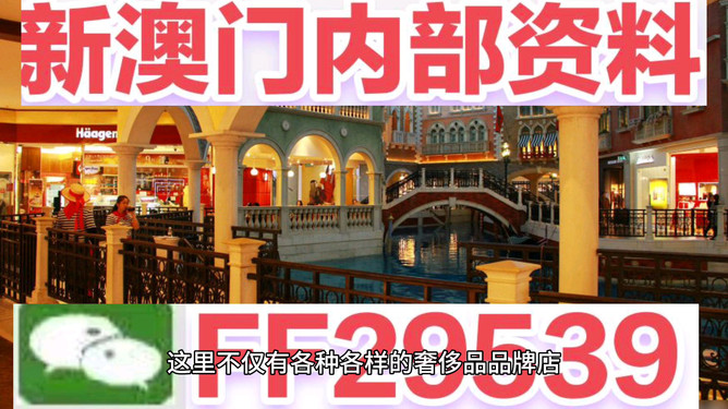 澳門未來展望，2025年的澳門展望，澳門未來展望，展望2025年澳門發(fā)展藍圖