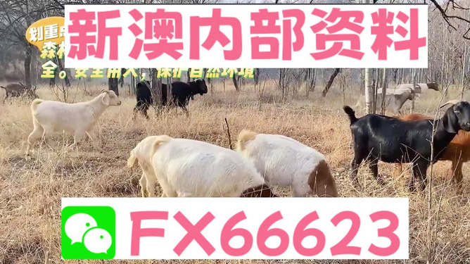 探索2005新澳正版兔費(fèi)大全，一站式資源指南，探索全新正版兔費(fèi)資源寶庫(kù)，一站式資源指南 2005 新澳正版大全