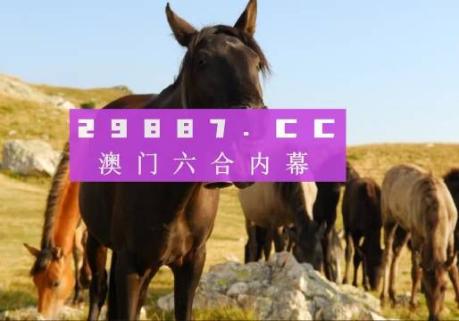 管家婆2025年澳門最精準免費大全，預測與策略分析，管家婆2025年澳門精準預測與策略分析大全（免費版）
