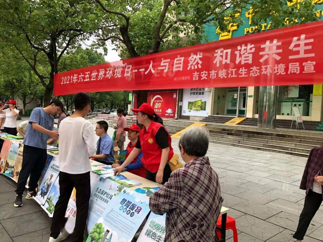 六月五號(hào)澳門開獎(jiǎng)結(jié)果全面解析，六月五號(hào)澳門開獎(jiǎng)結(jié)果深度解析