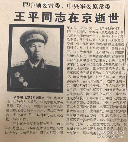 王王中王平特一肖，深度解析與SEO優(yōu)化策略，王王中王平特一肖深度解析與SEO優(yōu)化策略探討