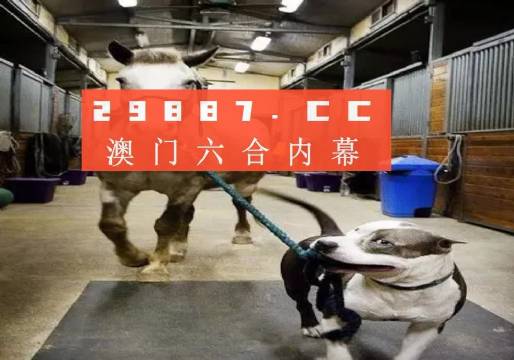 澳門一肖一碼一必中一肖，同舟前進的奧秘與策略，澳門一肖一碼必中策略與前進奧秘，同舟共濟的揭秘與策略