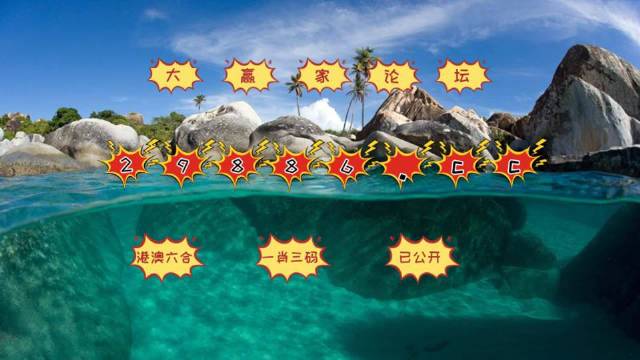 澳門天天六開彩內(nèi)部資料詳解，澳門天天六開彩內(nèi)部資料深度解析