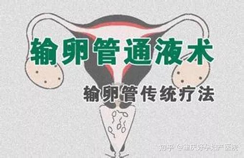 輸卵管堵塞自查方法，了解、預(yù)防與自我檢測，輸卵管堵塞的自我檢查與預(yù)防方法指南