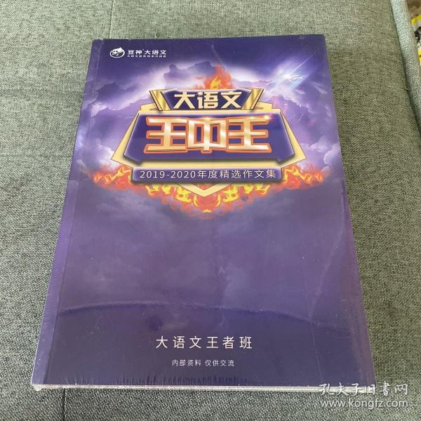 揭秘2019王中王資料一肖，傳奇背后的故事，揭秘傳奇背后的故事，王中王資料一肖探秘（2019版）