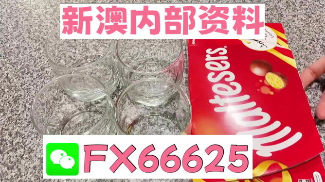澳門49圖正版資料，探索正版數(shù)據(jù)資料的魅力與價(jià)值，澳門正版資料探索，數(shù)據(jù)資料的魅力與價(jià)值揭秘