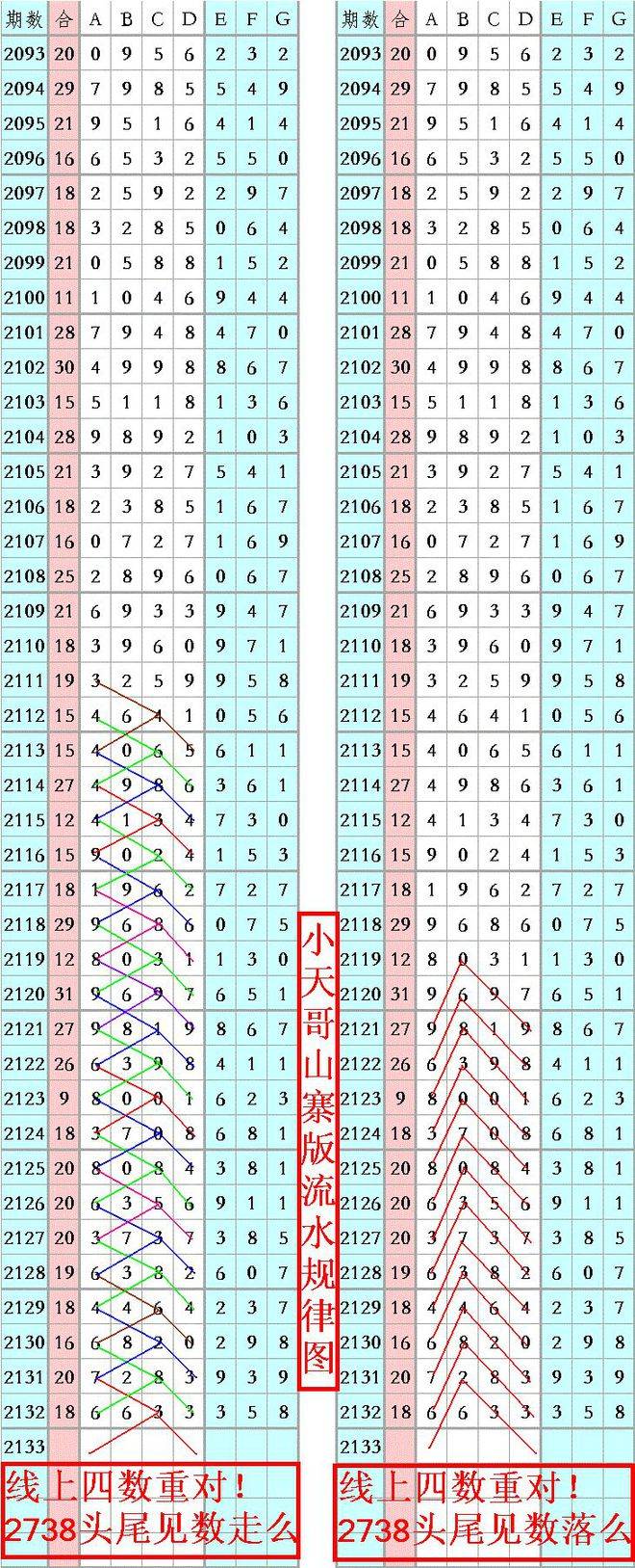 王中王資料一肖正特馬，深度解析與探索，王中王資料一肖正特馬深度解析與探索揭秘