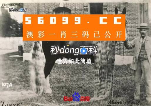 澳門(mén)王中王心水王中王，解析其背后的奧秘與吸引力，澳門(mén)王中王心水奧秘與吸引力的解析