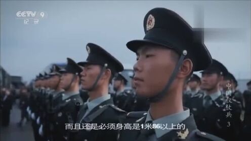 儀仗隊(duì)身高要求詳解，儀仗隊(duì)身高要求全解析