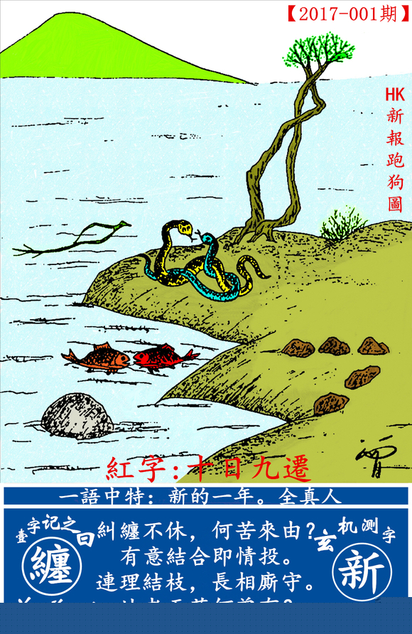 探索最新跑狗圖2025高清圖片，最新動(dòng)態(tài)與獨(dú)特魅力，探索最新跑狗圖2023高清圖片，獨(dú)特魅力與最新動(dòng)態(tài)揭秘