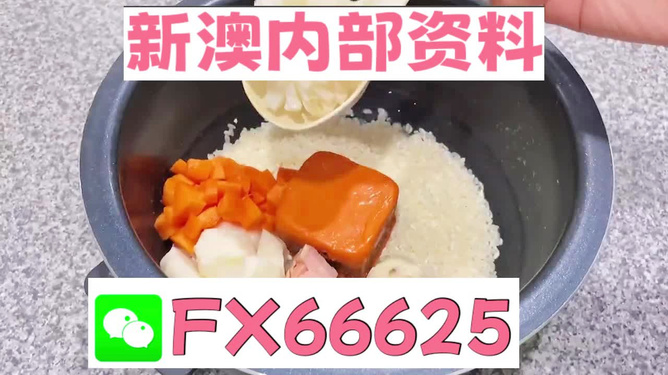 探索未來，2024新奧精準免費大全詳解，揭秘未來，2024新奧精準免費大全深度解讀