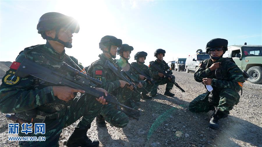 關(guān)于新疆某武警中隊被團滅事件的深度解析，新疆某武警中隊遭遇團滅事件的深度剖析