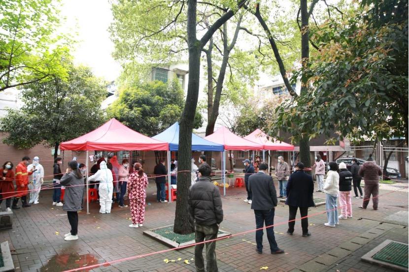 吳婷個人資料及照片，探索個人魅力的深度之旅，吳婷個人資料及照片，個人魅力深度探索之旅