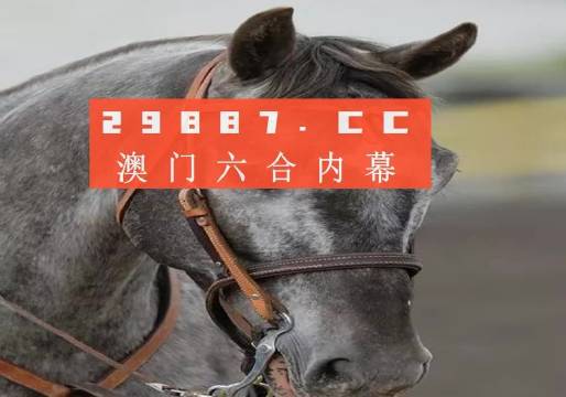 澳門一肖一馬中特免費——探索澳門特色文化與博彩魅力，澳門特色文化與博彩魅力，一肖一馬中的免費探索之旅
