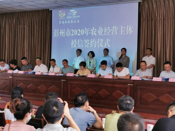彭州市農(nóng)業(yè)農(nóng)村局最新新聞，彭州市農(nóng)業(yè)農(nóng)村局最新動態(tài)報道