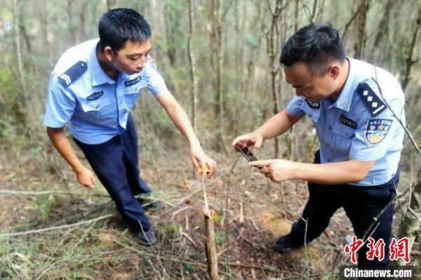 朱家山村委會最新新聞一覽，朱家山村委會最新動態(tài)概覽