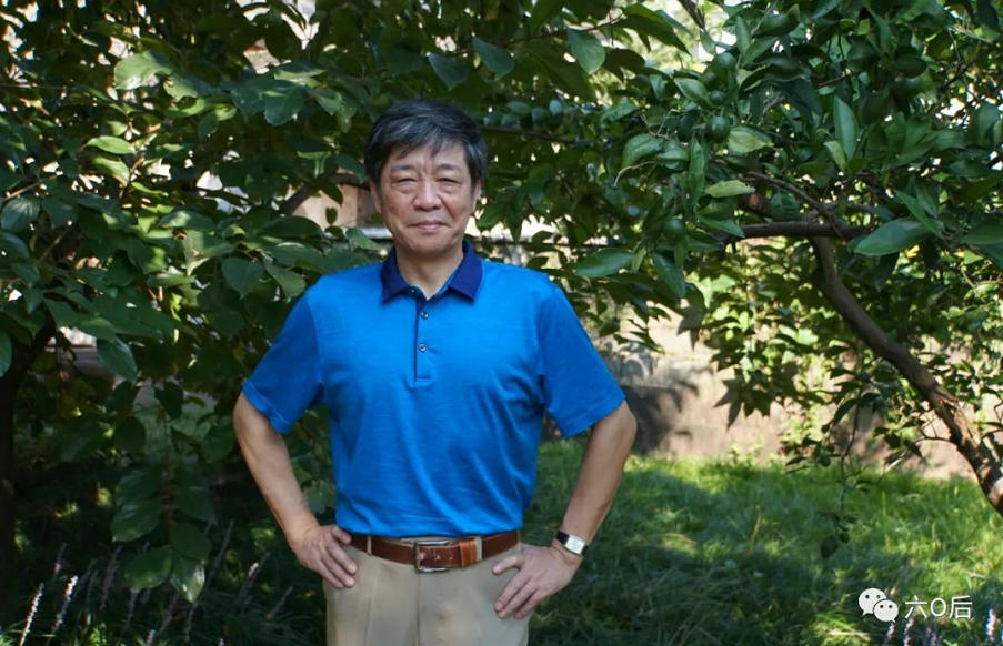 揭秘劉伯溫一肖中肖持背后的故事與智慧，劉伯溫一肖中肖持背后的故事與智慧揭秘