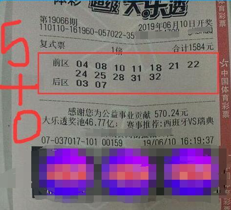王中王067期指一生肖，揭秘背后的奧秘與策略，揭秘生肖奧秘與策略，王中王生肖預(yù)測揭秘（第067期）