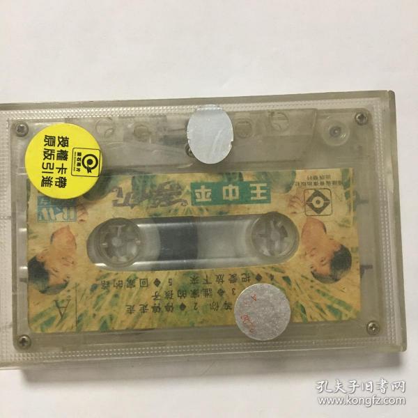 臺(tái)灣王中王平特一肖，探索與解析，臺(tái)灣王中王平特一肖，深度探索與解析