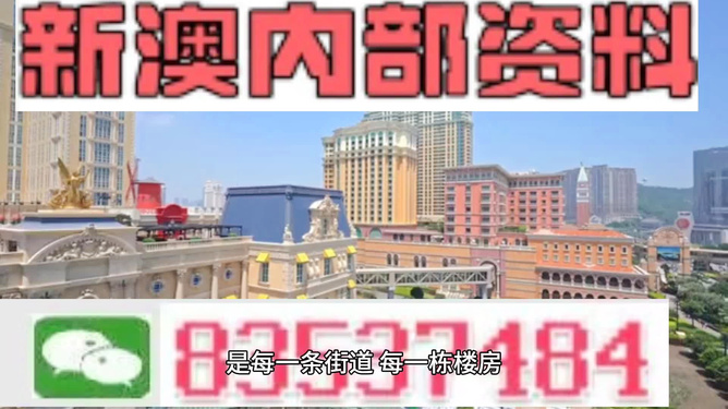 新澳門最精準(zhǔn)正最精準(zhǔn)龍門——探索澳門的魅力與機(jī)遇，澳門魅力與機(jī)遇探索，新澳門最精準(zhǔn)龍門