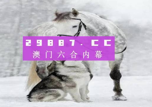 新奧門一肖一馬必中——揭秘彩票背后的秘密與策略，揭秘彩票背后的秘密與策略，新奧門一肖一馬必中技巧探究