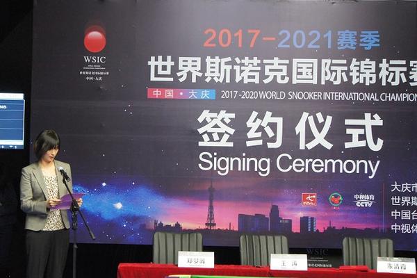 王中王一肖一特一中，探尋背后的故事與奧秘，探尋王中王一肖一特一中背后的故事與奧秘