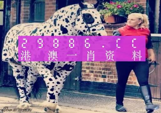 澳門王中王，一肖一特一中之奧秘，澳門王中王，揭秘一肖一特一中之奧秘