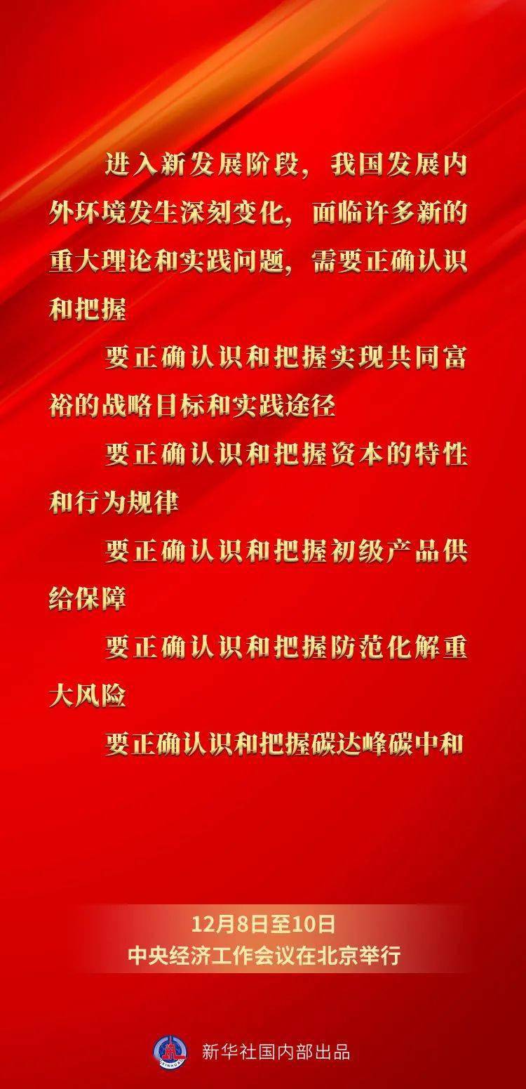 王中王一碼一肖一特一中，深度解析與探索，王中王一碼一肖一特一中，深度剖析與探索之旅