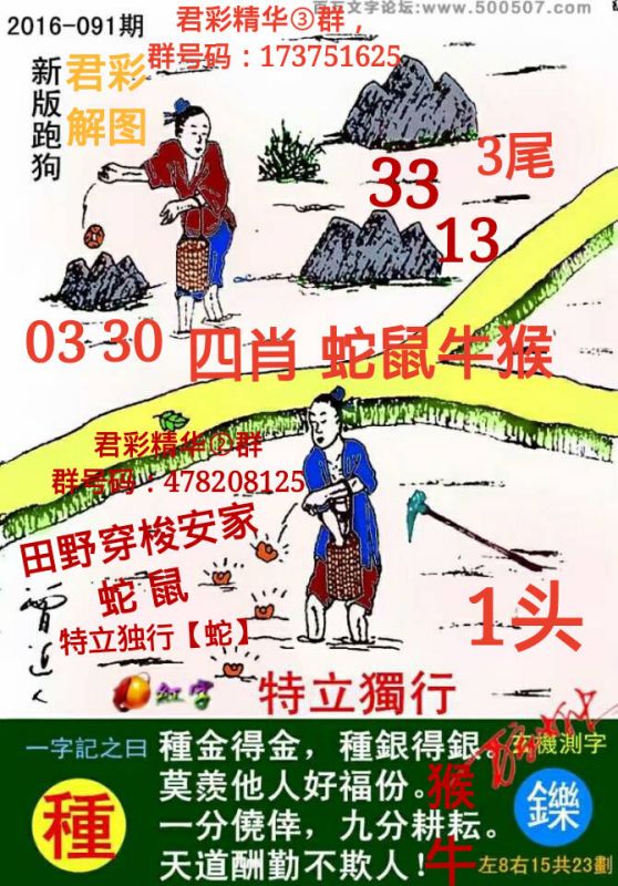 今期澳門老版正版跑狗圖，深度解析與探索，澳門老版正版跑狗圖深度解析與探索揭秘