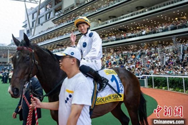 香港特馬王資料免費(fèi)公開(kāi)，深度解析與探索，香港特馬王資料深度解析與探索，免費(fèi)公開(kāi)揭秘