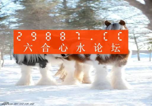揭秘王中王四不象必中一肖的神秘面紗，揭秘王中王四不象必中生肖的神秘面紗