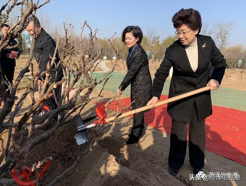 揭秘129期王中王報(bào)一肖的神秘面紗，揭秘王中王報(bào)一肖的神秘面紗，揭秘真相與內(nèi)幕解析