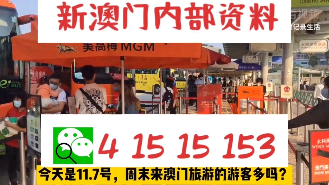 新澳門內(nèi)部十碼中特，探索與解析，新澳門內(nèi)部十碼中特，深度探索與解析